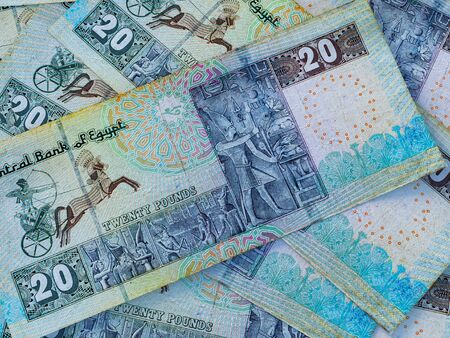 Egyptian pounds. Money of Egypt, business background. EGP. Closeup shotの写真素材