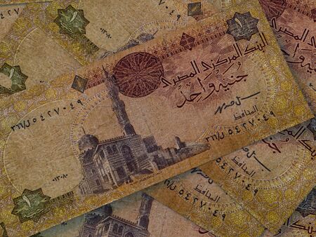 Egyptian pounds. Money of Egypt, business background. EGP. Closeup shotの写真素材