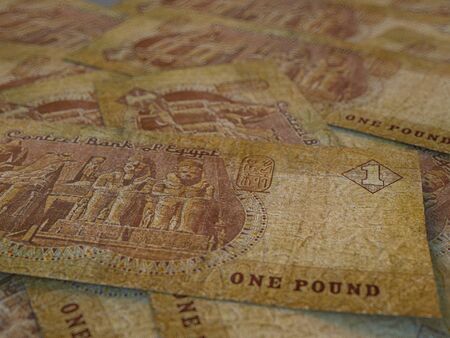 Egyptian pounds. Money of Egypt, business background. EGP. Closeup shotの写真素材