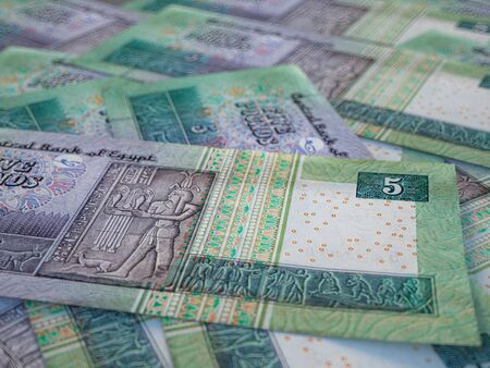 Egyptian pounds. Money of Egypt, business background. EGP. Closeup shotの写真素材