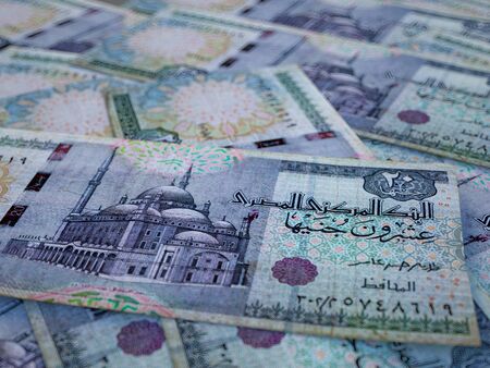 Egyptian pounds. Money of Egypt, business background. EGP. Closeup shotの写真素材
