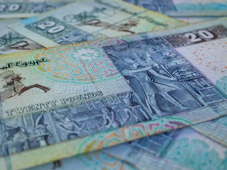 Egyptian pounds. Money of Egypt, business background. EGP. Closeup shotの写真素材