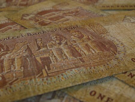 Egyptian pounds. Money of Egypt, business background. EGP. Closeup shot