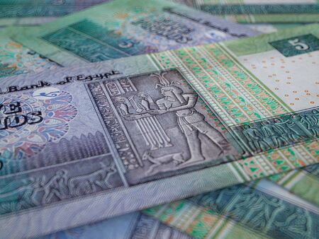 Egyptian pounds. Money of Egypt, business background. EGP. Closeup shotの写真素材