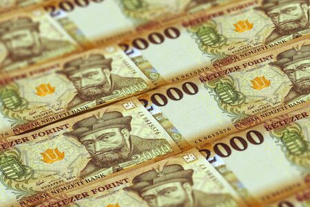 Hungarian forints banknotes background. 500 HUF