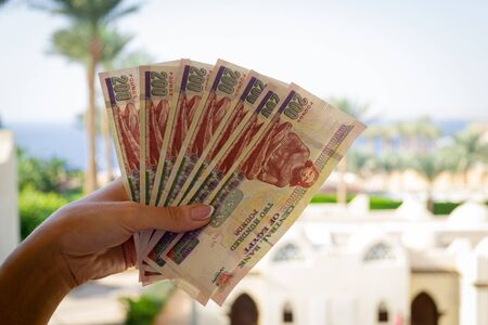 Young woman holding several Egyptian Pound banknotes on summer blurred background.