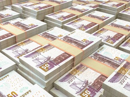 Egyptian pounds. Money of Egypt, business background. EGP. Closeup shot