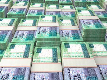 Egyptian pounds. Money of Egypt, business background. EGP. Closeup shotの写真素材