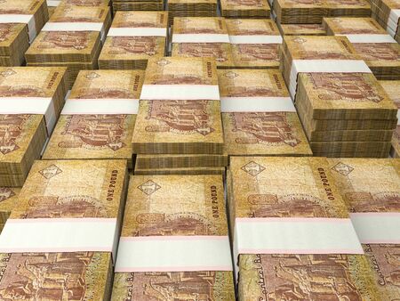 Egyptian pounds. Money of Egypt, business background. EGP. Closeup shotの写真素材