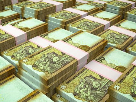 Hungarian Forints, business background. HUF. Closeup photoの写真素材