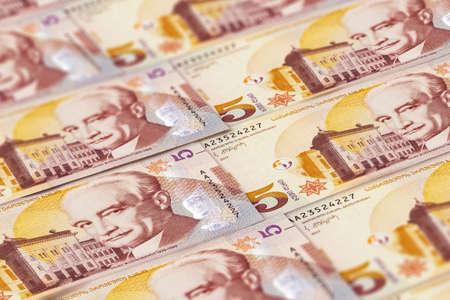 Georgian lari banknotes. 5 Georgian lari. Finance, business background. Perfect for news, reportageの写真素材
