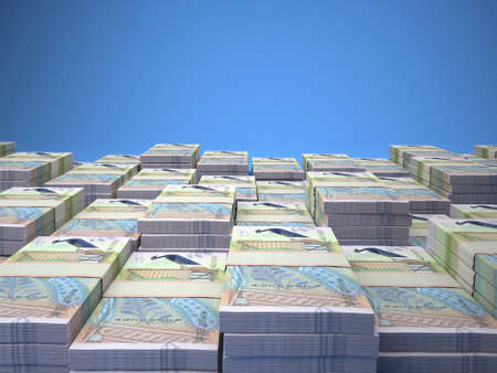 Money of Macedonia. Macedonian denar bills. MKD banknotes. 10 denari. Business, finance, news background.の写真素材