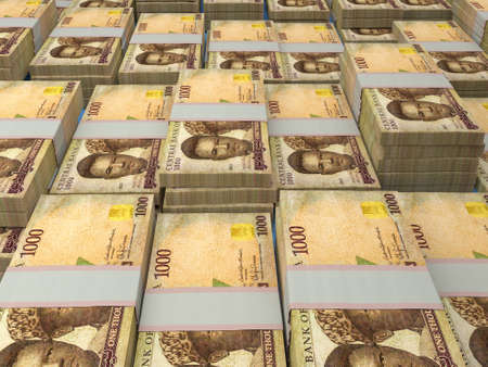 Money of Nigeria. Nigerian naira bills. NGN banknotes. 1000 polymer. Business, finance, news background.の写真素材