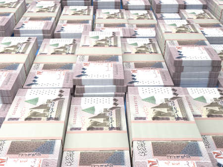 Money of Sudan. Sudanese pound bills. SDG banknotes. 100 pounds. Business, finance, news background.の写真素材