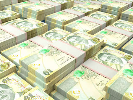 Money of Bahamas. Bahamas dollar bills. BSD banknotes. 1 dollars. Business, finance, news background.の写真素材