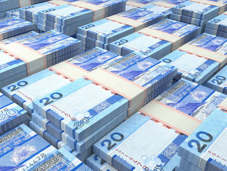 Money of Gambia. Gambian dalasi bills. GMD banknotes. 20 dalasis. Business, finance, news background.の写真素材
