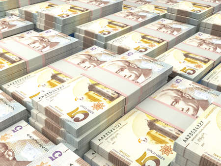 Money of Georgia. Georgian lari bills. GEL banknotes. 5 lari. Business, finance, news background.の写真素材