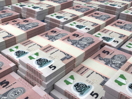 Money of Nigeria. Nigerian naira bills. NGN banknotes. 5 polymer. Business, finance, news background.の写真素材