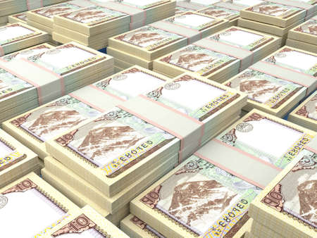 Money of Nepal. Nepalese rupee bills. NPR banknotes. 10 Rs. Business, finance, news background.の写真素材