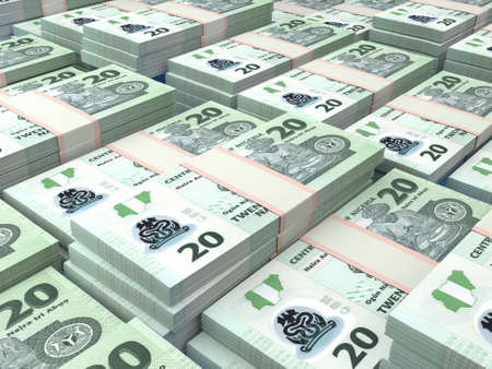 Money of Nigeria. Nigerian naira bills. NGN banknotes. 20 polymer. Business, finance, news background.の写真素材