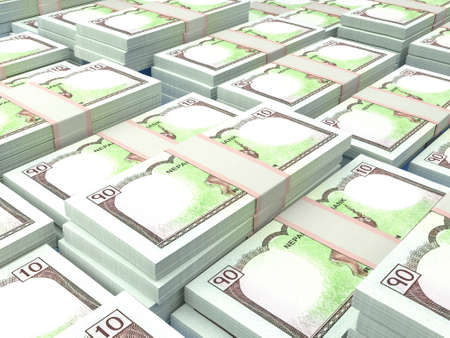 Money of Nepal. Nepalese rupee bills. NPR banknotes. 10 Rs. Business, finance, news background.の写真素材