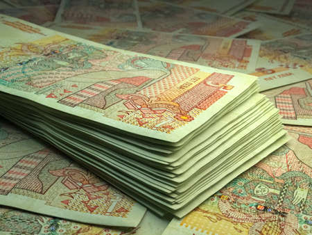 Money of Bulgaria. Bulgarian lev bills. BGN banknotes. 5 levove. Business, finance, news background.の写真素材