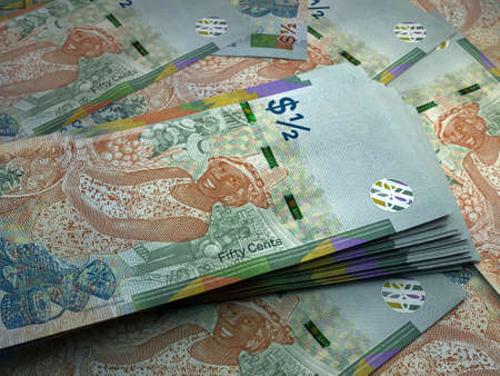Money of Bahamas. Bahamas dollar bills. BSD banknotes. 05 dollars. Business, finance, news background.の写真素材