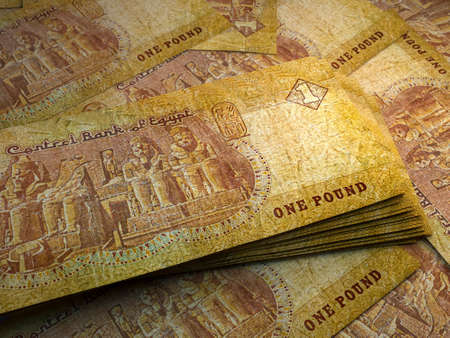 Money of Egypt. Egyptian pound bills. EGP banknotes. 1 pounds. Business, finance, news background.の写真素材