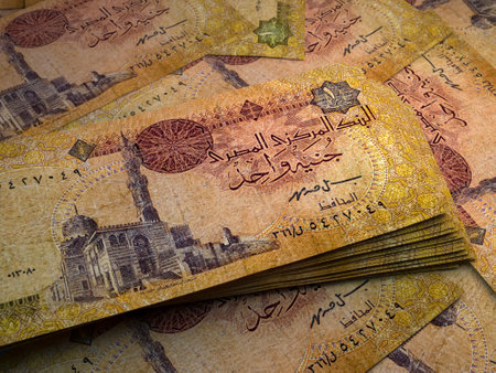 Money of Egypt. Egyptian pound bills. EGP banknotes. 1 pounds. Business, finance, news background.の写真素材