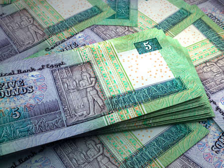 Money of Egypt. Egyptian pound bills. EGP banknotes. 5 pounds. Business, finance, news background.の写真素材