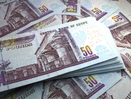 Money of Egypt. Egyptian pound bills. EGP banknotes. 50 pounds. Business, finance, news background.の写真素材