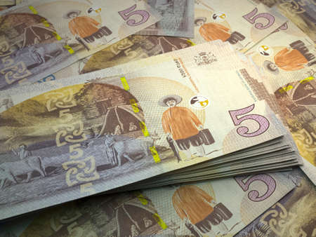 Money of Georgia. Georgian lari bills. GEL banknotes. 5 lari. Business, finance, news background.