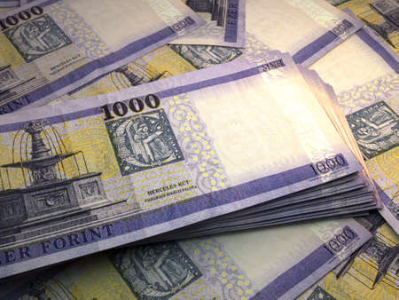 Money of Hungary. Hungarian forint bills. HUF banknotes. 1000 forintok. Business, finance, news background.の写真素材