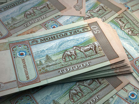 Money of Mongolia. Mongolian tugrik bills. MNT banknotes. 50 togrog. Business, finance, news background.の写真素材