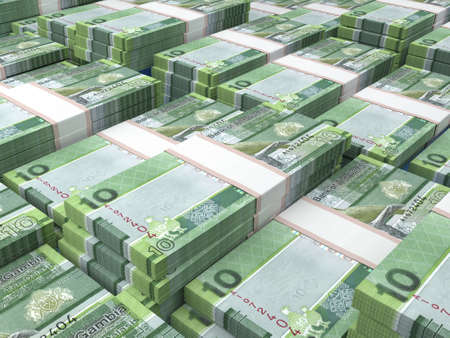 Money of Gambia. Gambian dalasi bills. GMD banknotes. 10 dalasis. Business, finance, news...