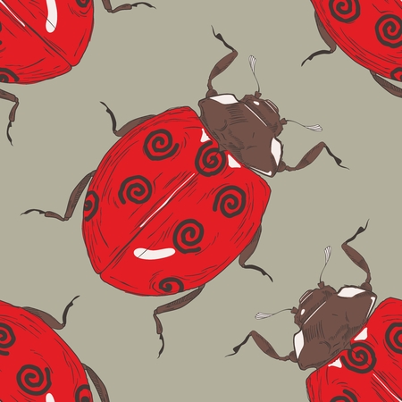 lady bird insectのイラスト素材