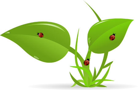 Plantsのイラスト素材