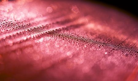 Drops. Abstraction. Contrast of colorsの写真素材