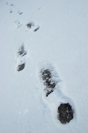 Print of footwear in a snow
の写真素材