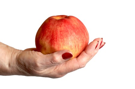 Hand of the elderly lady holding an apple.の写真素材