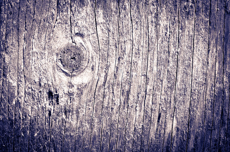 old wood look and feel beautiful naturally quiet fascinatingの写真素材