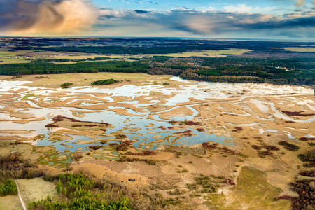 Biebrza National Parkの写真素材
