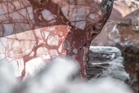 Close-up of a rock with a pattern in the foreground.の写真素材