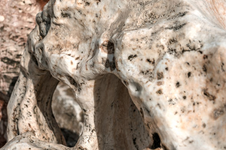 Close-up of the texture of the stone. Natural background.