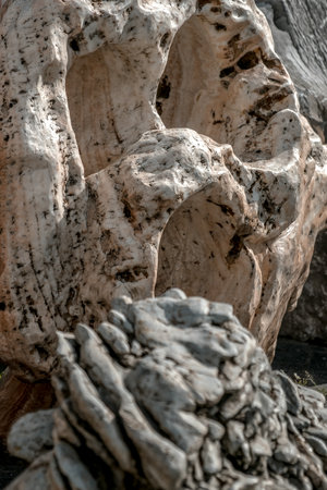 A stone formation with holes and a rough surface. The light-colored structure with dark flecks...