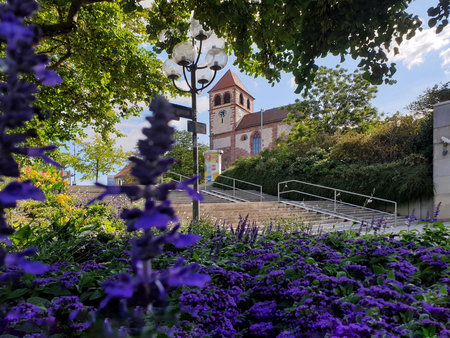A church with a clock tower surrounded by greenery. Purple flowers bloom in the foreground; a stone staircase leads up to the church in the back. Summer serenity.の写真素材