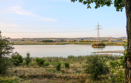 A tranquil lake bordered by vegetation, with fields, trees, and power lines in the distance. The water reflects the serene landscape and sky.の写真素材