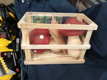 Mushrooms in a Wooden Crateの写真素材