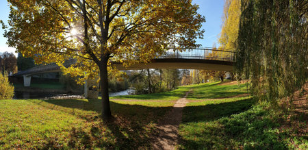 A bridge spans a stream surrounded by golden trees. Sunlight filters through the foliage, creating a warm and cozy feeling in this tranquil autumn park.の写真素材