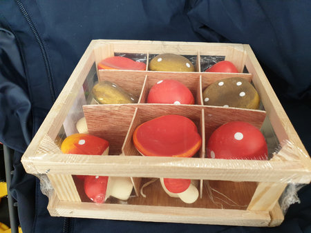 Mushrooms in a Wooden Boxの写真素材